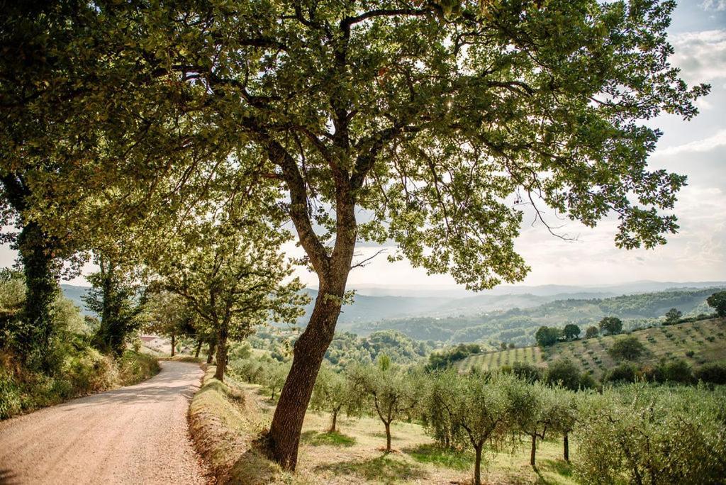 Tenuta Di Forte Sorgnano Гуальдо-Каттанео Экстерьер фото