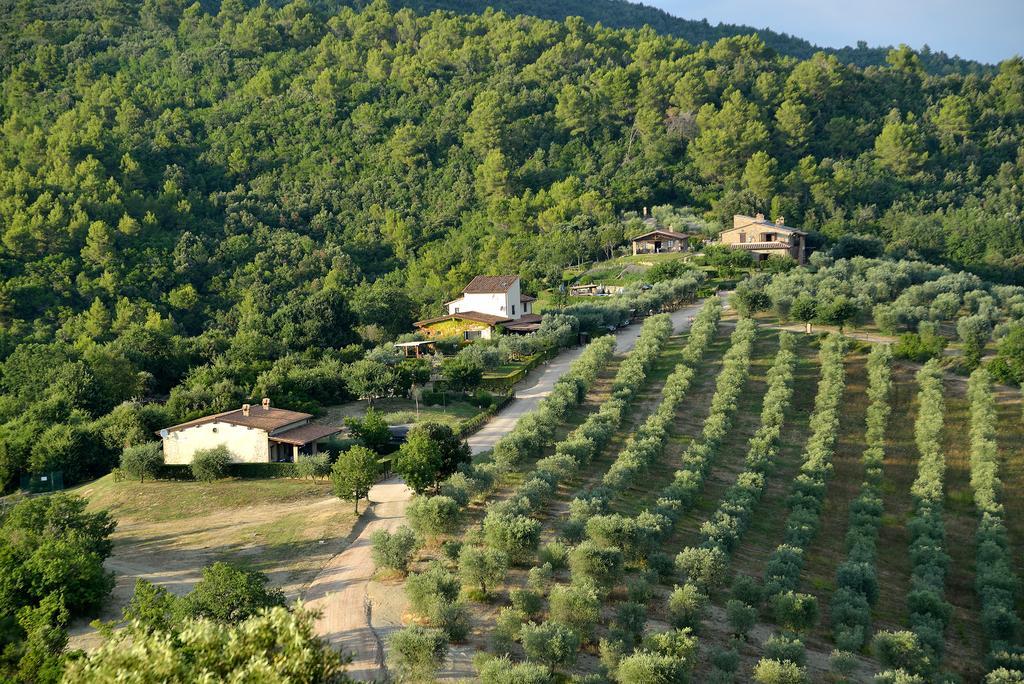 Tenuta Di Forte Sorgnano Гуальдо-Каттанео Экстерьер фото